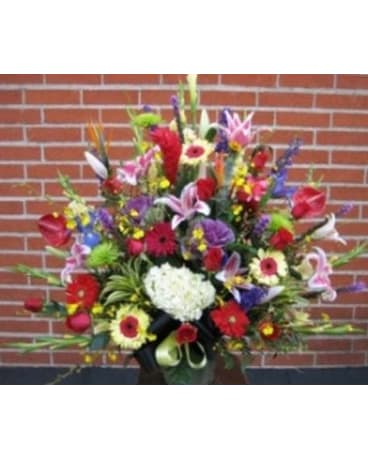 Designer's Choice Multi Color